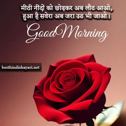 Good Morning Love Shayari