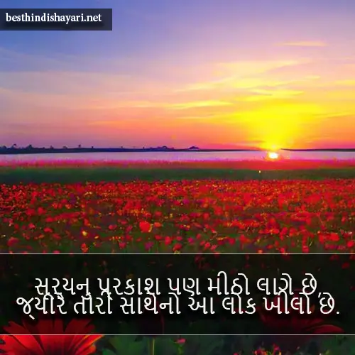 Good Morning Shayari Gujarati