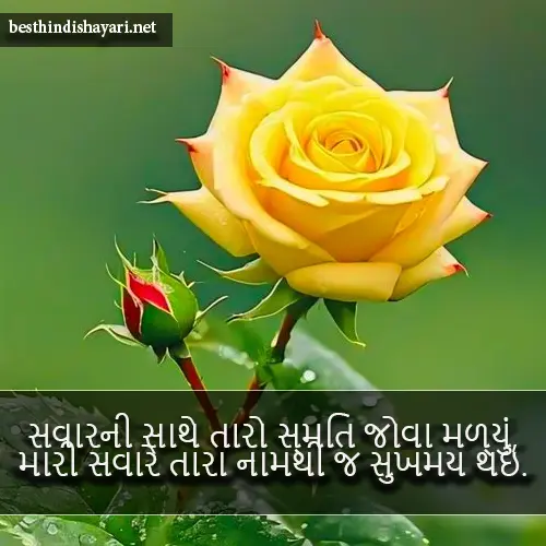 Good Morning Shayari Gujarati