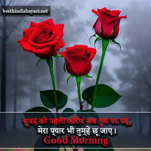 Whatsapp Good Morning Shayari