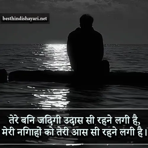 Hurt Sorry Shayari