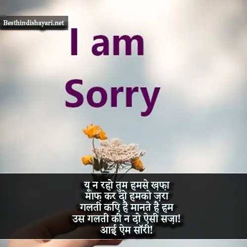 I Am Sorry Shayari