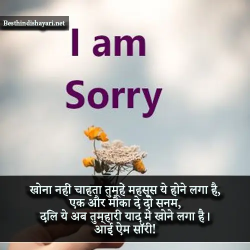 I Am Sorry Shayari