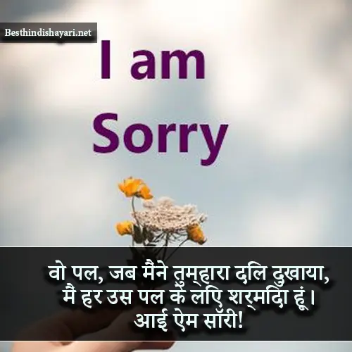 I Am Sorry Shayari