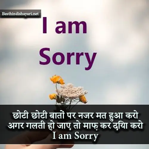 I Am Sorry Shayari