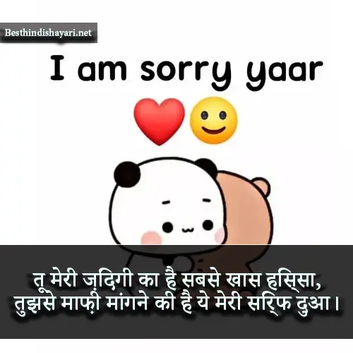 Sorry Shayari for Friend