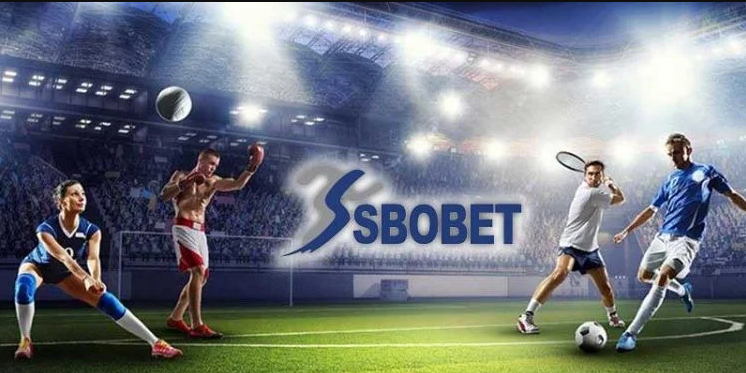 Exploring the SBOBET88 User Interface: A Guide for New Players