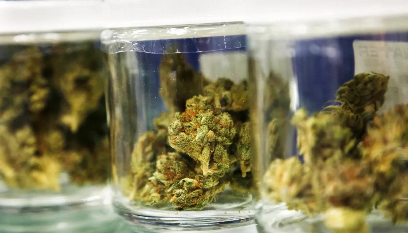 The History of Cannabis in New Jersey: From Prohibition to Legalization