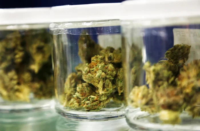 The History of Cannabis in New Jersey: From Prohibition to Legalization